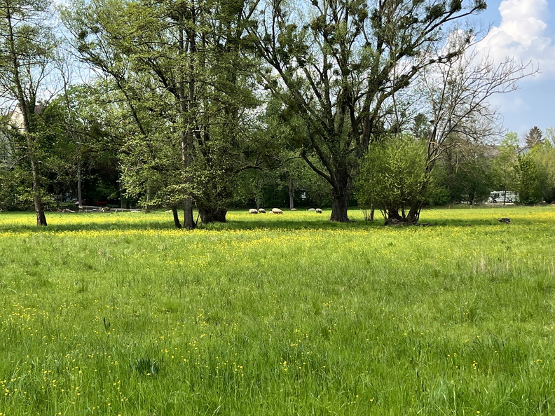 22-05-02 13-34-24 0725